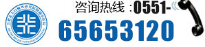 咨询热线0551-65653120